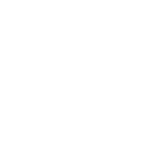 Kervestin Julien Videaste Brest Honda Brest